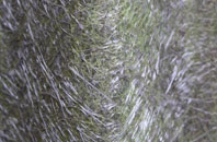 Ordsall fibreglass roof work